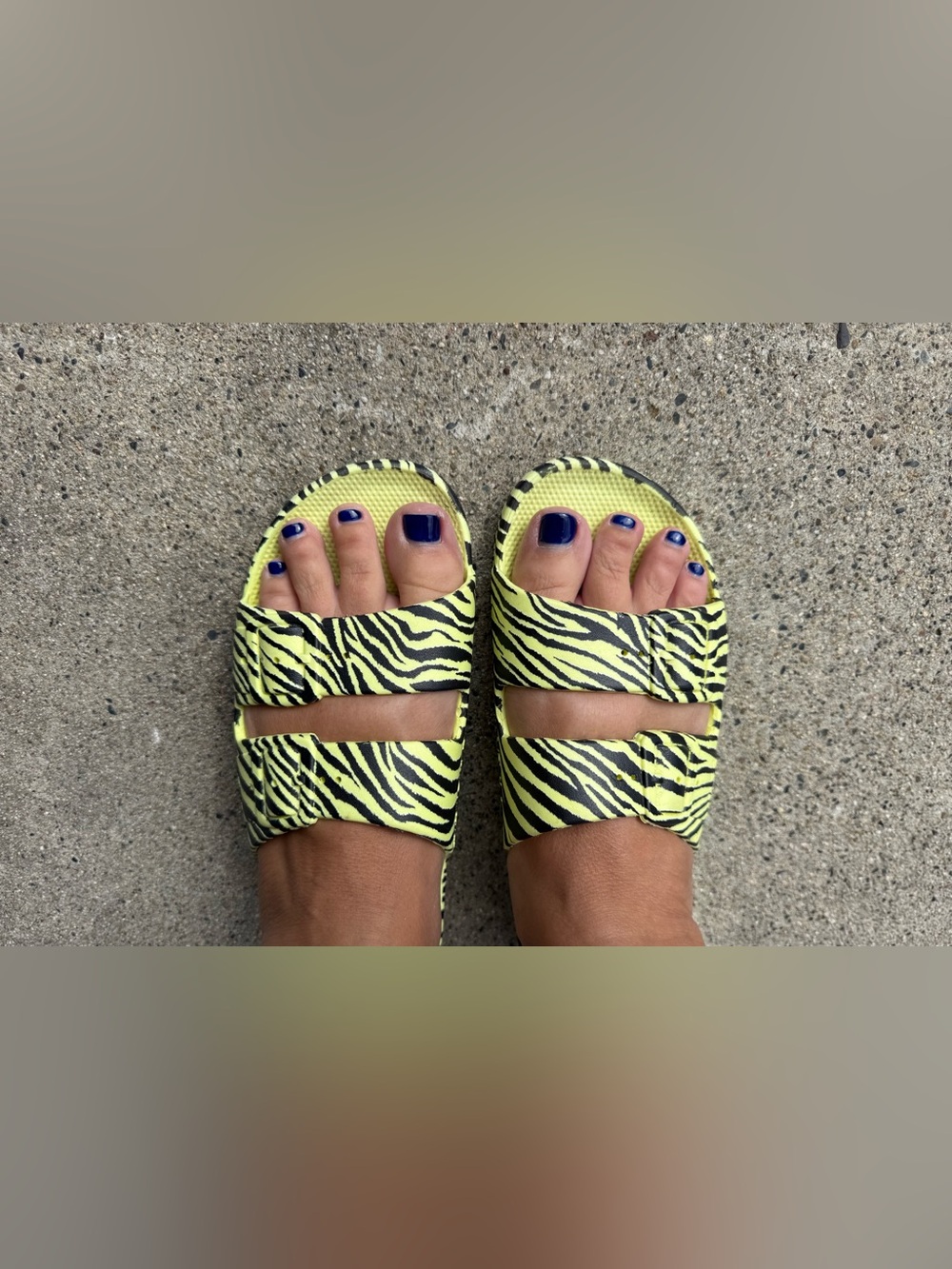Freedom Moses Zebra Molded Slide Size 38/39 W 8/9